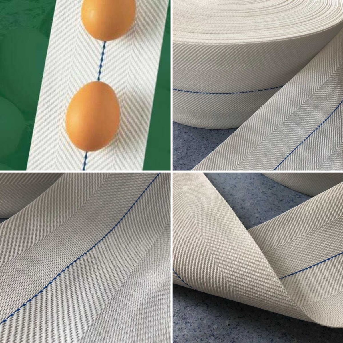 BANG-TAI-TRUNG-GA-EGGS-CONVEYOR-BELT-EGG CONVEYOR TAPE