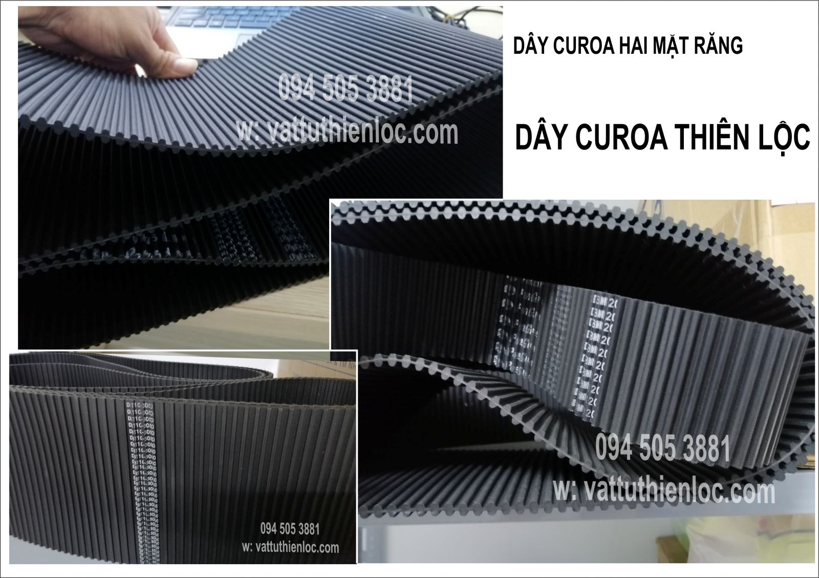 DÂY CUROA HAI MẶT RĂNG-DÂY CUROA THIÊN LỘC