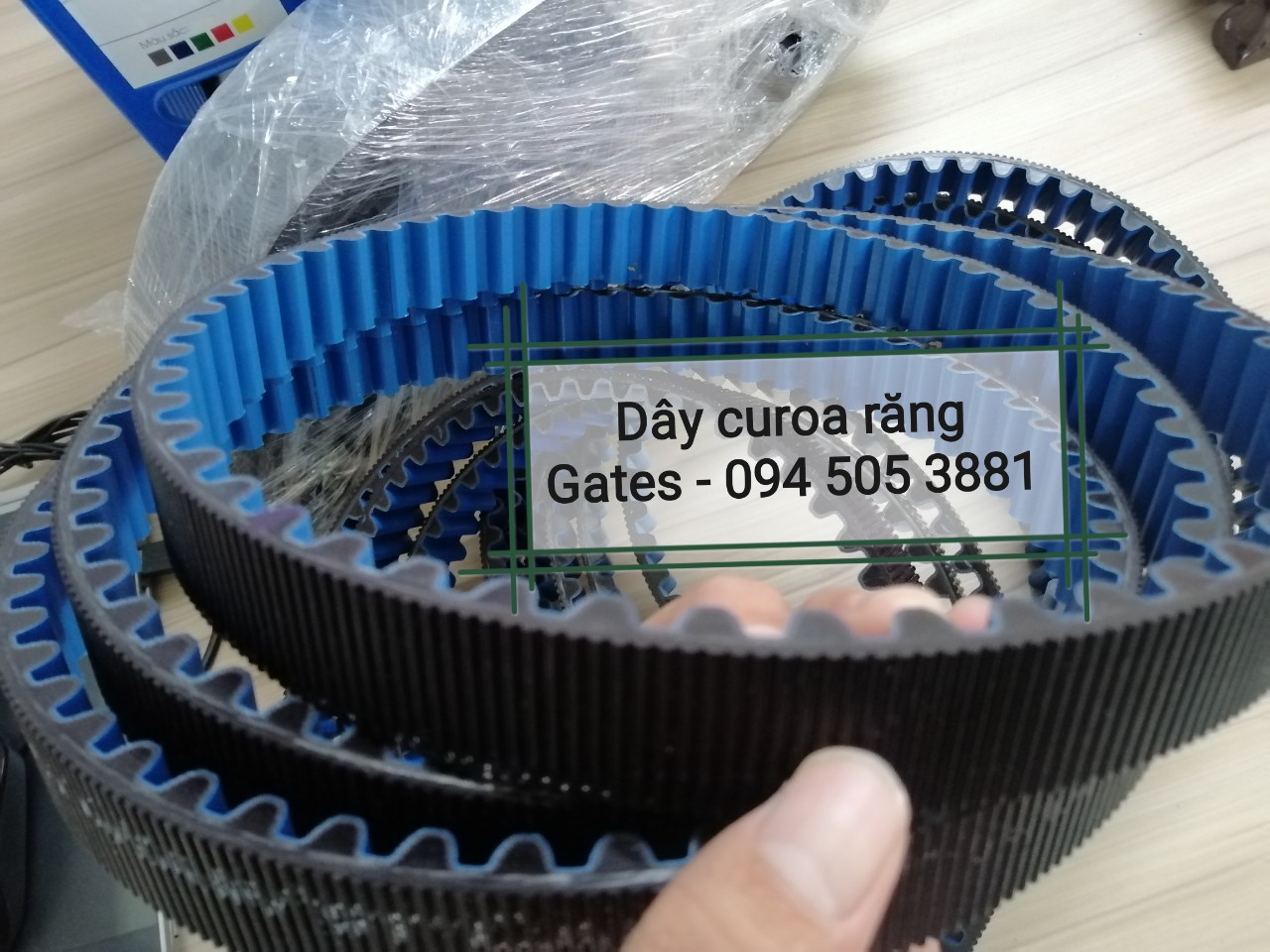 DÂY CUROA GATES THIÊN LỘC