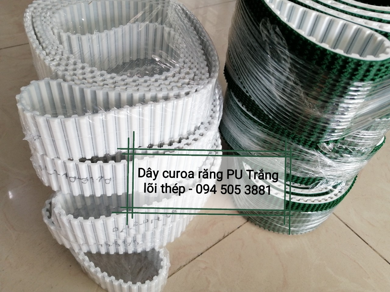 Dây curoa PU trắng lõi thép đắp băng tải xanh gai